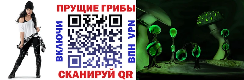 Псилоцибиновые грибы Cubensis  Купить закладки  Подпорожье 